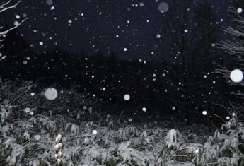 glenfirst-snow-2014-01crop