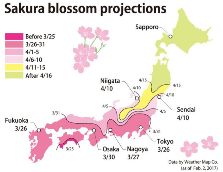 Sakura Zensen 2017
